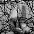 Monade installation photo #1 par Julien Spianti