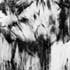 Chute d'un cadavre politique #15