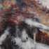 Incendio a Jerusalem